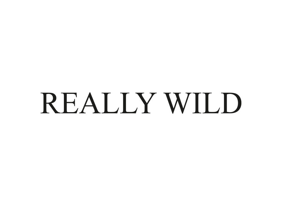 Technology logo