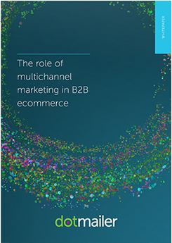 Dotmailer multi-channel B2B e-commerce report