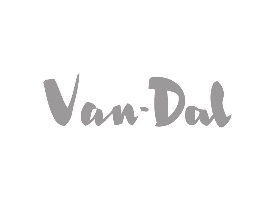 Van-Dal Shoes