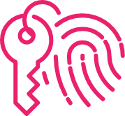 Icon for security experts